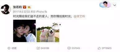 吃瓜娱乐张翰视频,揭秘明星幕后趣事